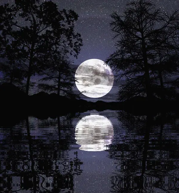 Moonrise reflected on still water